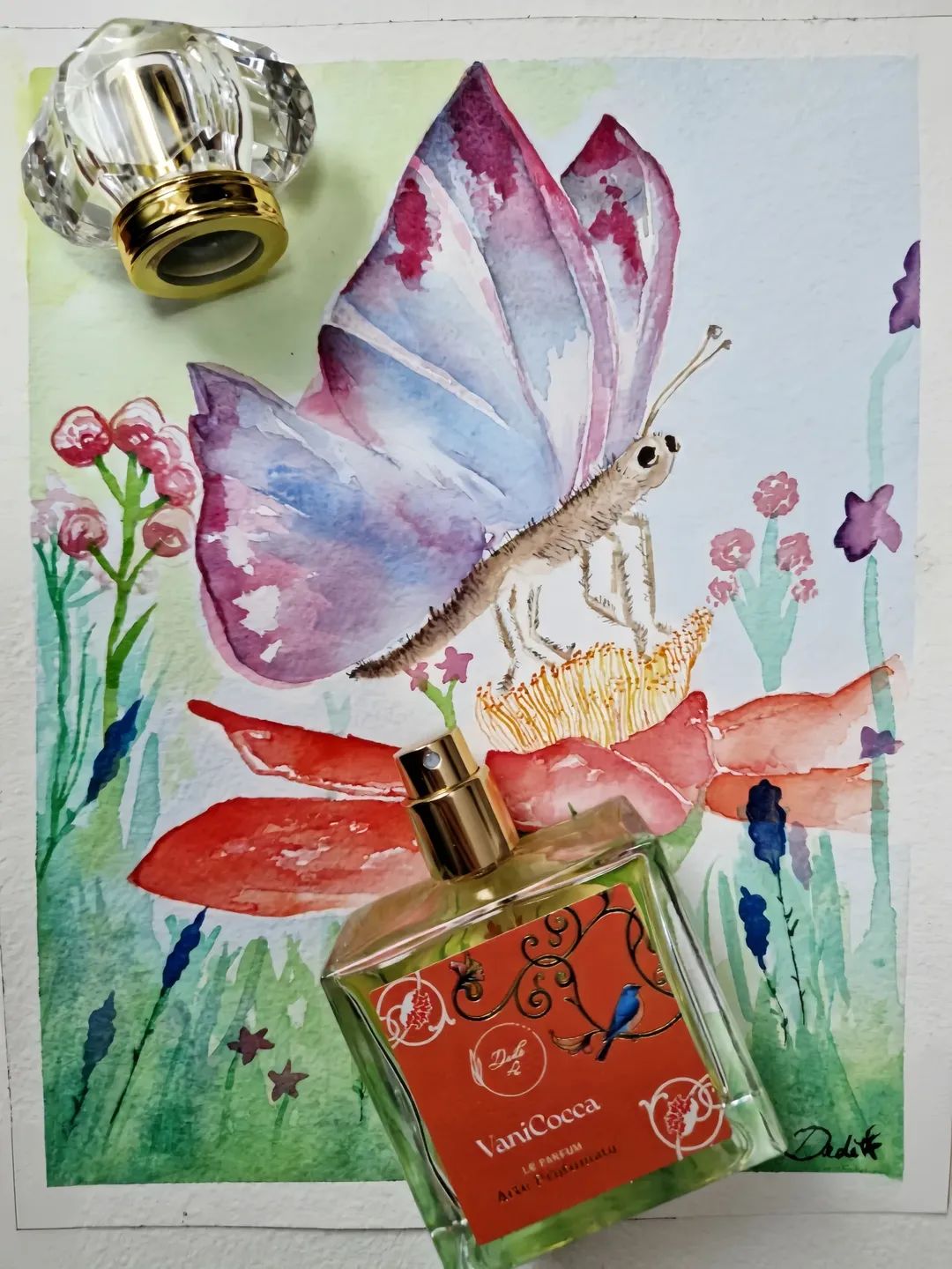 Vanicocca, le Parfum 50ml